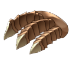 Bear Claw A9.png