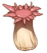 Forest Anemone.png