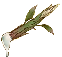 Honey Tree Branch A21.png