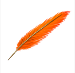 Crimson Feather A9.png