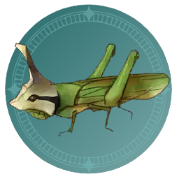 Helmeted Grasshopper A25.png