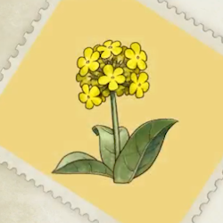 Sunny Honey Flower A21.png