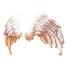 Angel Wing A9.png