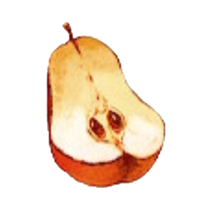 A15 Fully Ripe Fruit.PNG
