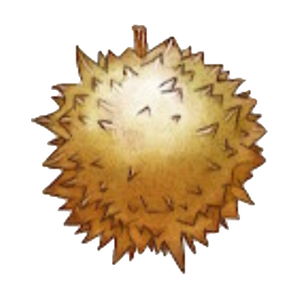 A15 Spiky Fruit.PNG