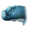 A17 Star Fish.png