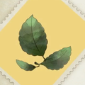 A21 Rosen Leaf