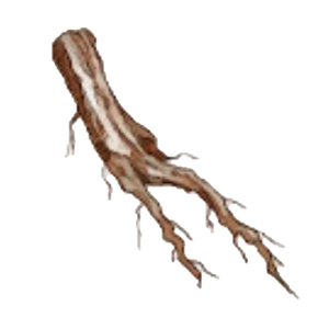 A15 Dried Root.PNG