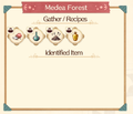 Medea Forest Book Recipe