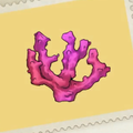 Cave Coral A21.png