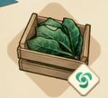 Spinach S