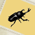 Giant Beetle A21