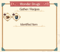 Wonder Drugs Infobook