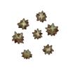 A15 Bitter Tree Seed.PNG