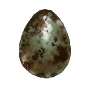 A15 Bird Egg.PNG