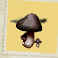 Crispy Mushroom A21