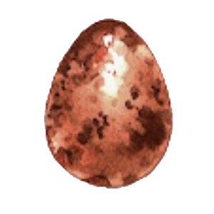 A15 Sea Bird Egg.PNG