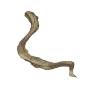 A15 Rot Snake Skin.PNG