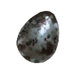 A15 Ext. Bird Egg.PNG