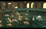 Nio's grave surrounded by glowing flowers.