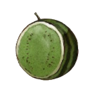 A15 Bitter Melon.PNG