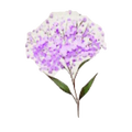 Purple Flower in Atelier Escha & Logy